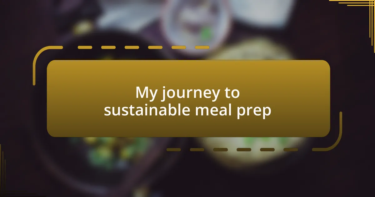 My journey to sustainable meal prep